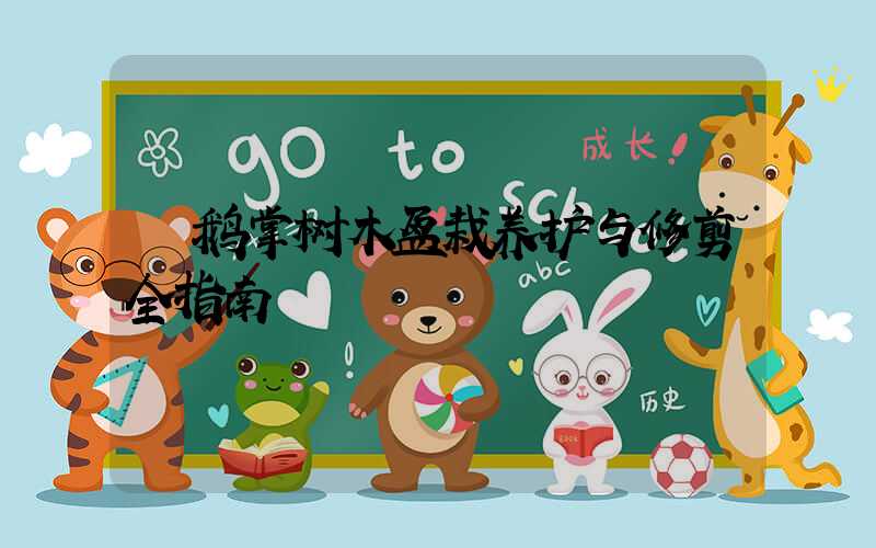  鹅掌树木盆栽养护与修剪全指南